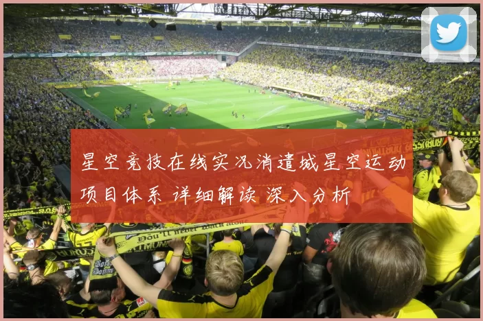 星空竞技在线实况消遣城星空运动项目体系 详细解读 深入分析