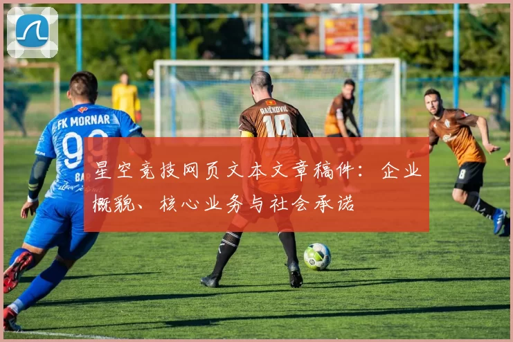 星空竞技网页文本文章稿件：企业概貌、核心业务与社会承诺